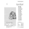 GRUNDIG P37830TEXT/IR Service Manual