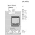 GRUNDIG VR5100 Service Manual