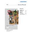 GRUNDIG CHASSIS E5 Service Manual