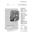 GRUNDIG T554101MV Service Manual