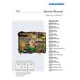 GRUNDIG CHASSIS22.1 Service Manual