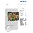 GRUNDIG CHASSIS_C7 Service Manual