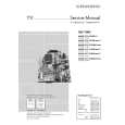 GRUNDIG T 51-830 MULTI/ICN Service Manual